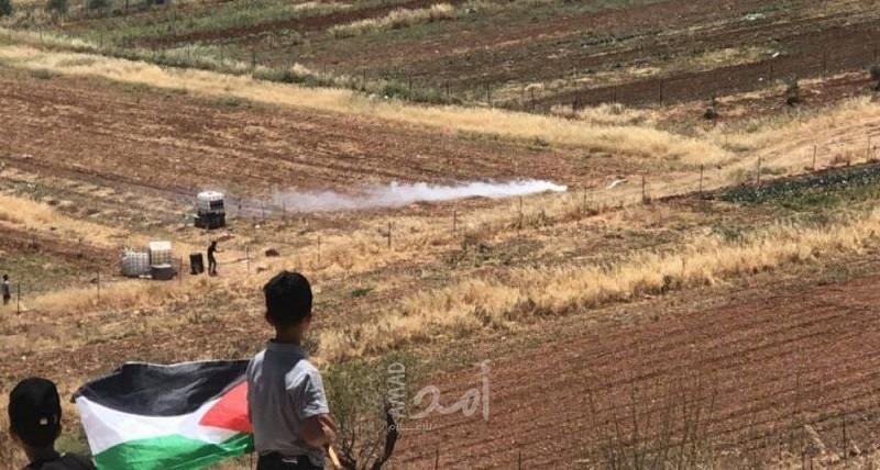 صمود تاريخي في مواجهة مع الاحتلال تحولها من لوحة طبيعية إلى ساحة حرب