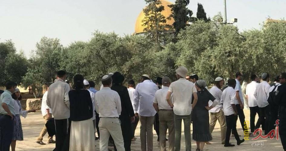 القدس المحتلة: مستوطنون يجرفون قطعة أرض بحي 'الشيخ جراح'