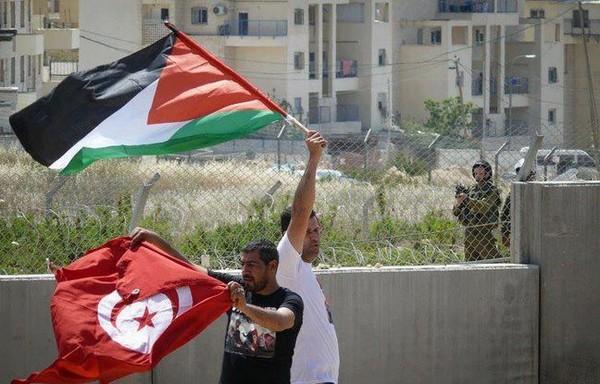 تونس وفلسطين توقعان إتفاقيتي تعاون