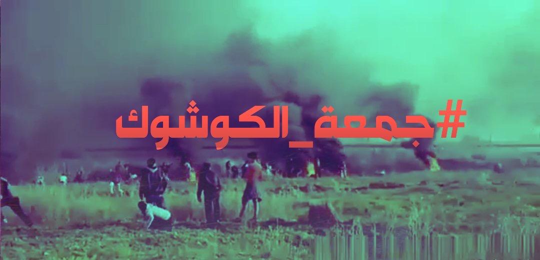 "#جمعة_الكوشوك".. هاشتاغ يدعو لتشتيت انتباه جنود الاحتلال شرق قطاع غزة