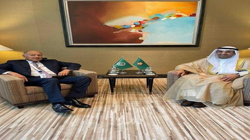 أبو الغيط يلتقي أمين عام مجلس التعاون الخليجي لبحث تطوير العمل العربي المشترك