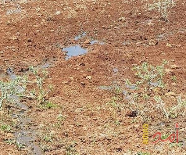 مستوطنون يضخون مياه الصرف الصحي في حقول شمال رام الله