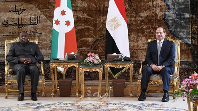 الرئيس السيسي: "سد النهضة" قضية وجودية تؤثر على حياة الملايين - فيديو