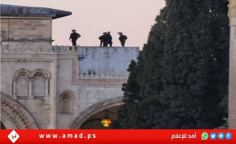 استمرار الادانات العربية الرسمية لجرائم إسرائيل وتدنيس المقدسات