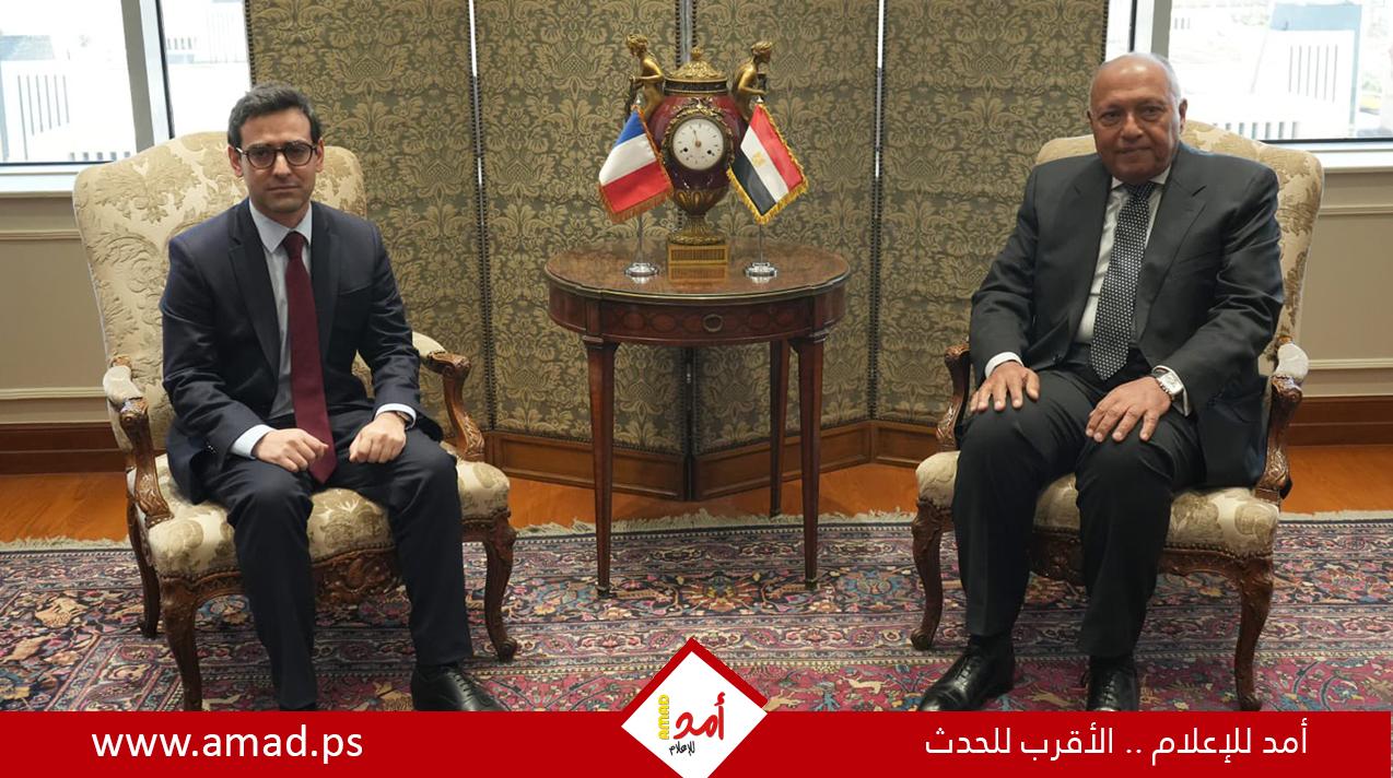 شكري لــ وزير خارجية فرنسا: الأعمال العسكرية في سوريا والعراق تنذر بتفاقم الوضع