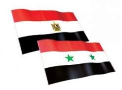 هآرتس: الدور المصري الفاعل في الأزمة السورية مهم لإسرائيل