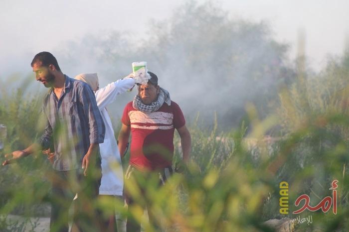 معربا عن قلقه...الاتحاد الأوروبي يحذر من تصاعد التوتر بين قطاع غزة وإسرائيل