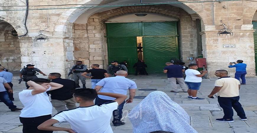القدس: الاحتلال يقتحم جبل المكبر ويفرض مخالفات في منطقة باب العامود