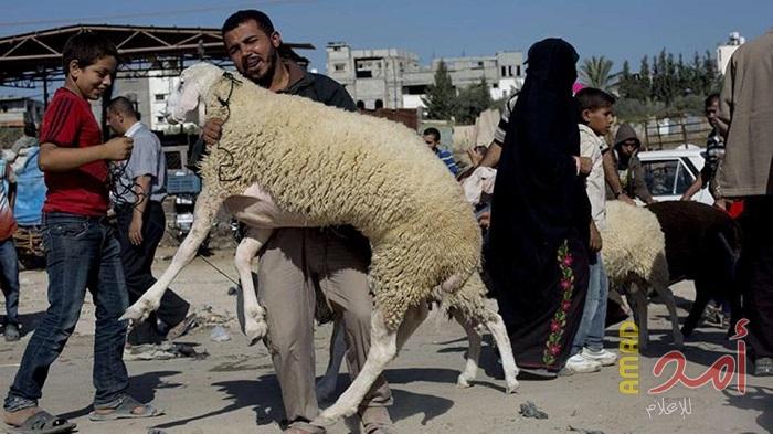 كيف قضي أهالي قطاع غزة عيد الأضحى ؟!
