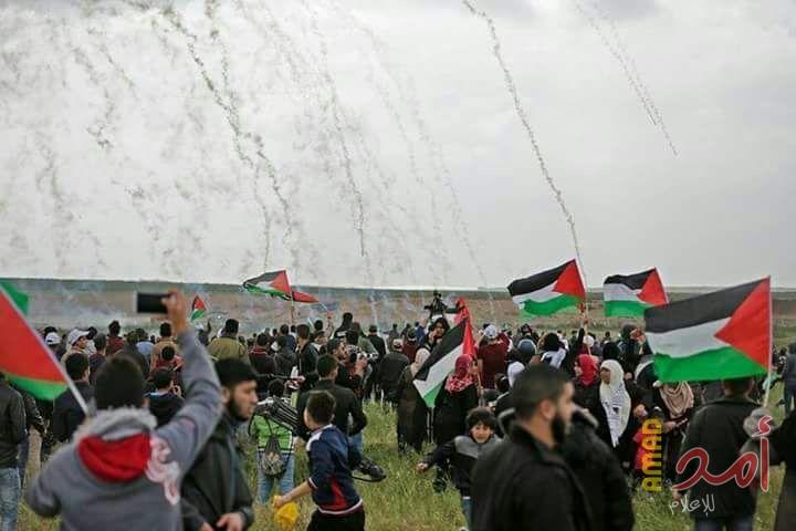 لا تختلفوا على الأسماء