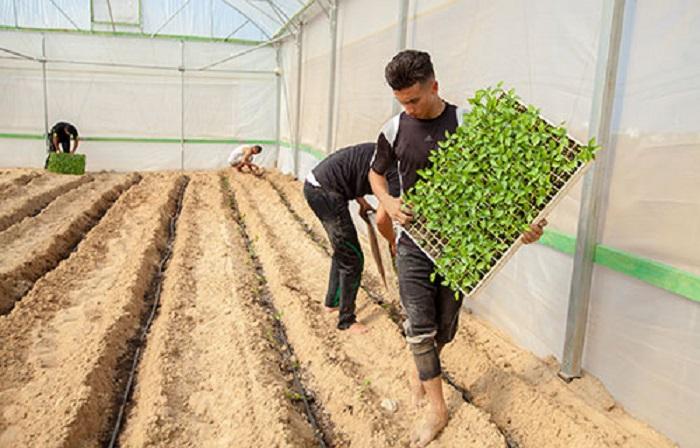 وزير الزراعة برام الله: منحة مالية لمتضرري الدفيئات الزراعية في قطاع غزة