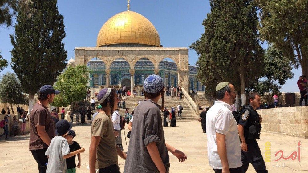 67 مستوطنا اقتحموا الأقصى منذ صباح اليوم