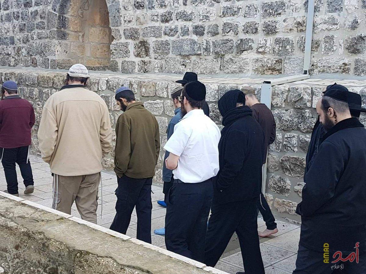 مستوطنون يقتحمون "الأقصى" بحماية شرطة الاحتلال
