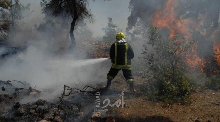 مطالب بمحاسبة عاجلة للمتسببين في الحرائق: اقبضوا على مجرمي غابات عجلون في الأردن