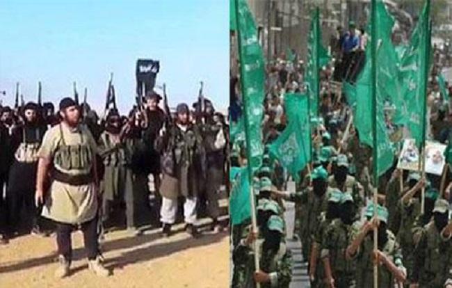 تلفزيون: عناصر حماس الأمنية يخلون مواقع خشية قصفها من "داعش" في سيناء