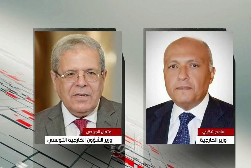 خلال اتصال هاتفي.. اتفاق مصري تونسي على تكثيف الجهود لإنهاء الأزمة الليبية