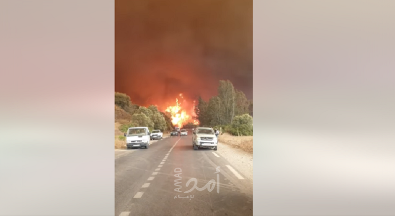 ضحايا باندلاع حرائق في غابات "تيزي وزو" الجزائرية