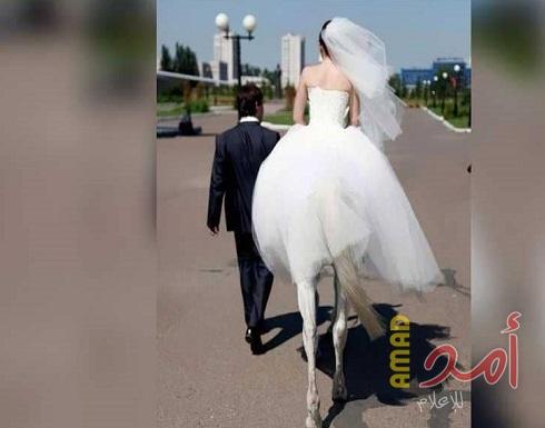 باريدوليا.. "المرأة الفرس" تتزوج