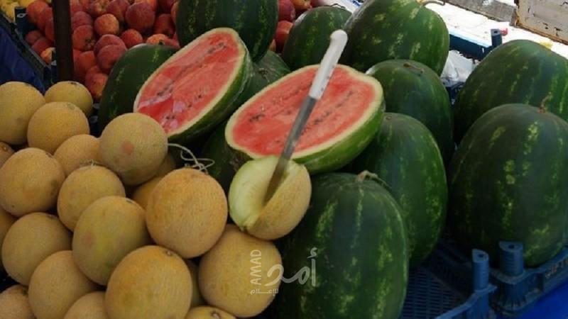 زراعة حماس تصدر تنويهاً مهماً بشأن فاكهتي "البطيخ والشمام"