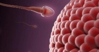 للرجال فقط .. الرجال الذين ينامون قبل منتصف الليل لديهم حيوانات منوية أكثر صحة