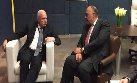 وزير الخارجية المصري يبحث تطورات القضية الفلسطينية مع وزير خارجية فلسطين