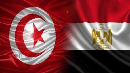 القاهرة : تصريحات وزير الخارجية التركي تعكس نفسيته المريضة