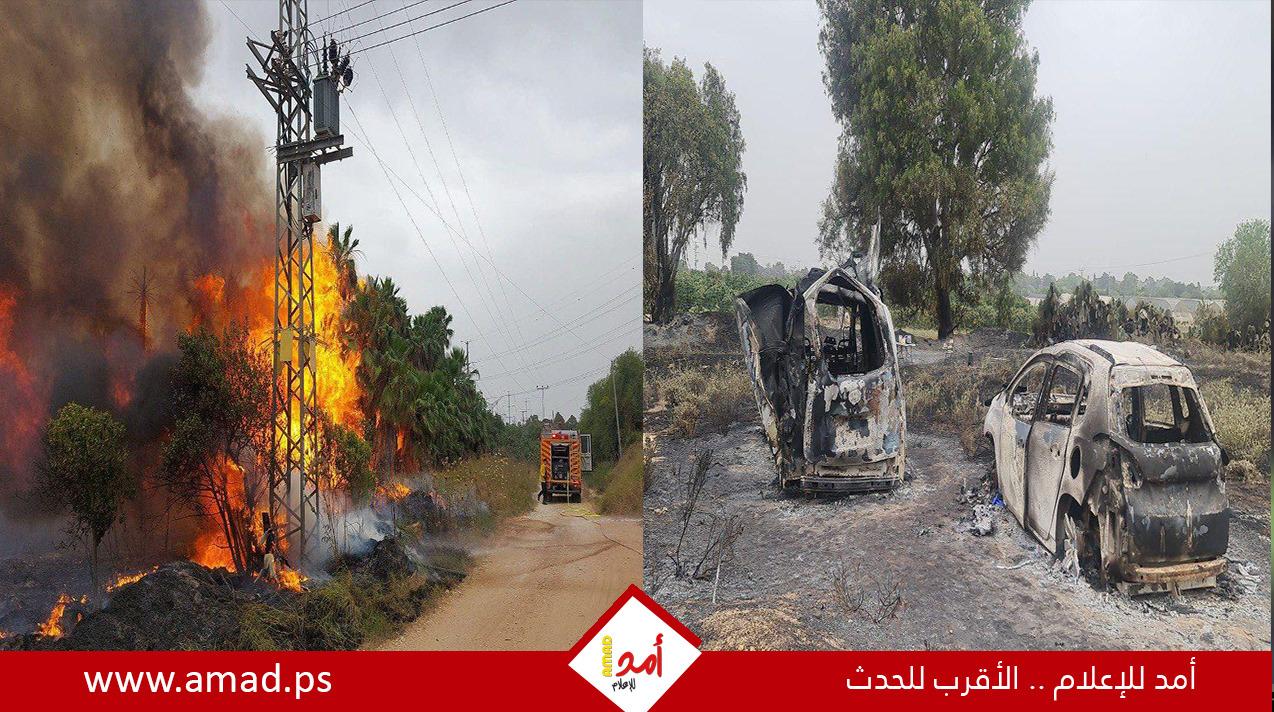 إعلام عبري: عشرات الحرائق في إسرائيل وفقدان السيطرة وإخلاء منازل- صور وفيديو