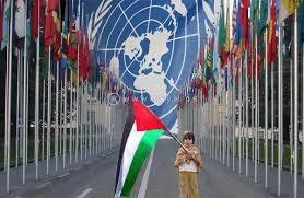 171 دولة بالأمم المتحدة تصوت لحق الشعب الفلسطيني في تقرير مصيره