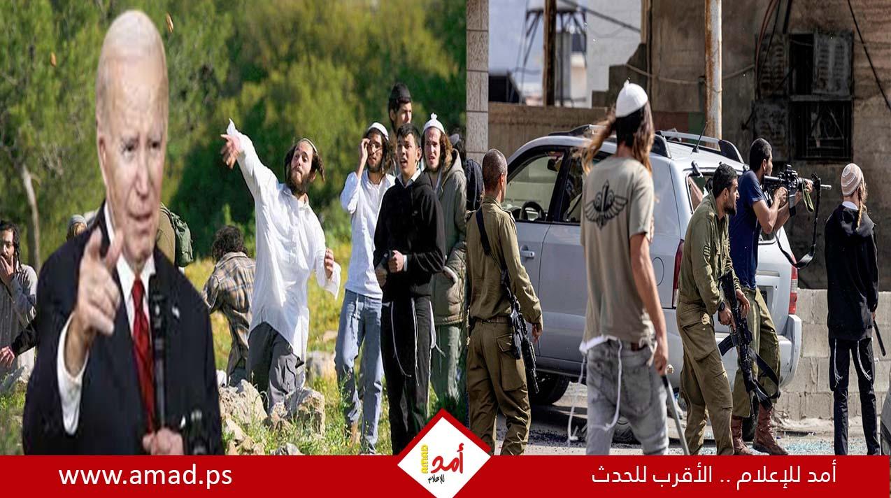 مقاومة الجدار والاستيطان: 1593 اعتداء نفذها جيش الاحتلال ومستوطنيه