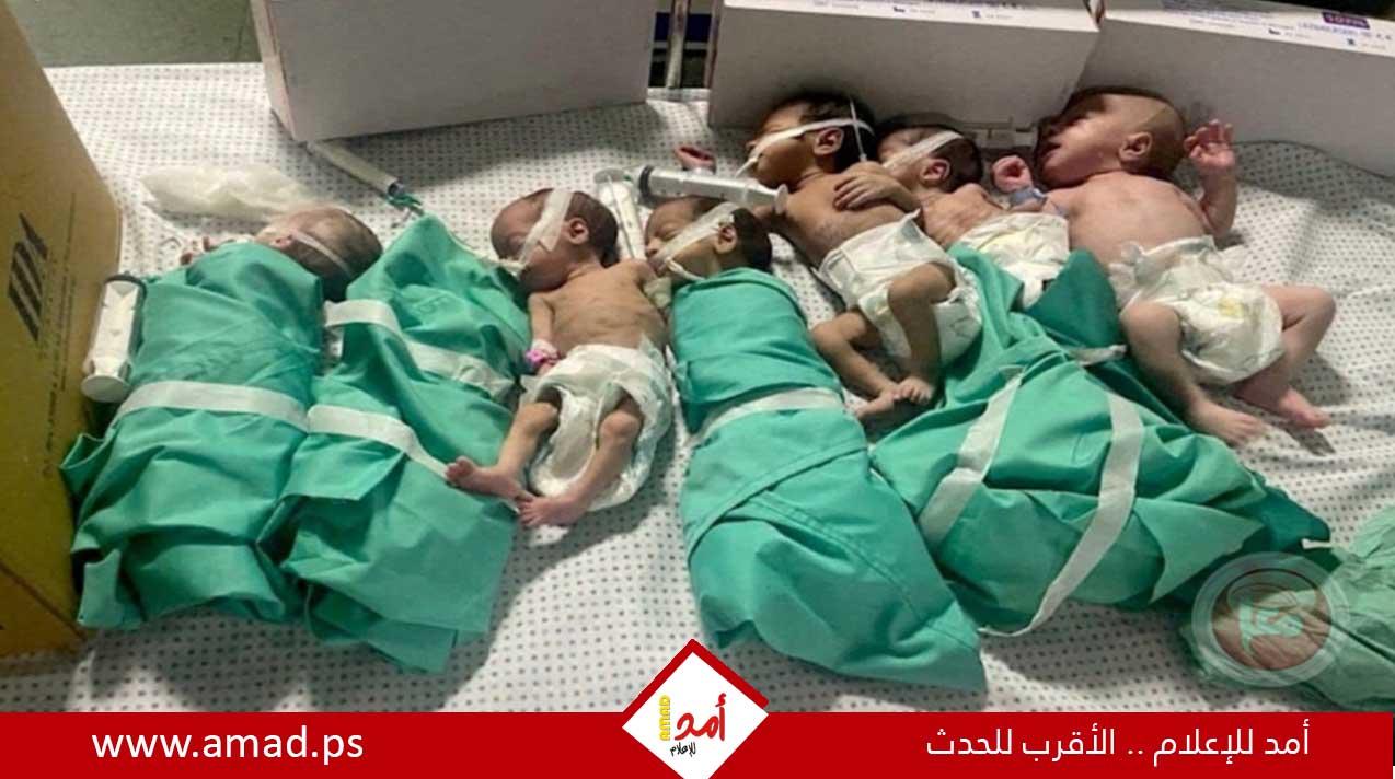 مسؤول أممي: لم يعد ثمة "مواليد بحجم طبيعي" في قطاع غزة