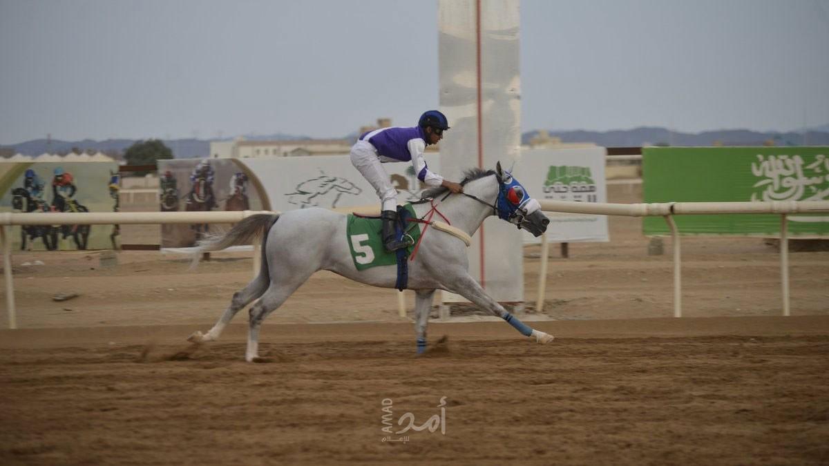 أمل فيصل.. أول فارسة سعودية تشارك في سباقات ميدان الخيل الرسمي
