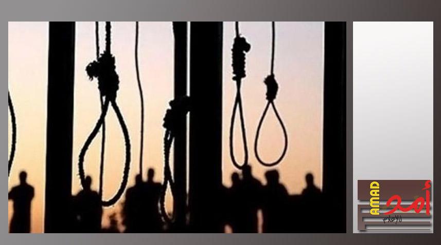 تنفيذ حكم الإعدام بحق 4 مدانين بأعمال ارهابية شمالي مصر