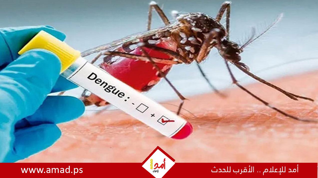 ارتفاع حصيلة وفيات حمى الضنك في بنجلاديش - تفاصيل