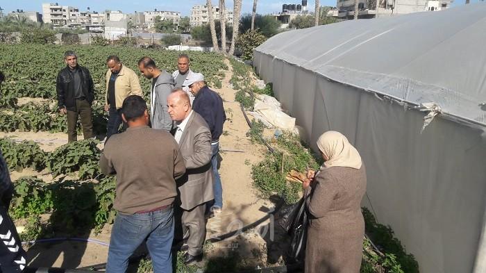 صحة غزة تنفذ حملة لضبط المزروعات التي تروى بالمياة المعادمة