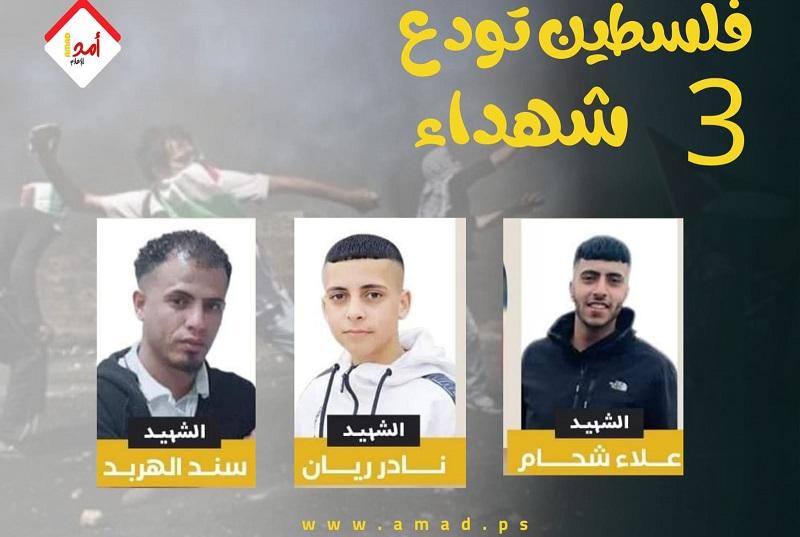 الصحة الفلسطينية تنشر حصيلة الشهداء منذ بداية عام (2022)