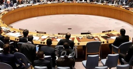 المجموعة العربية الدائمة في الأمم المتحدة تحشد جهودها للتصدي لخطط الضم الإسرائيلية