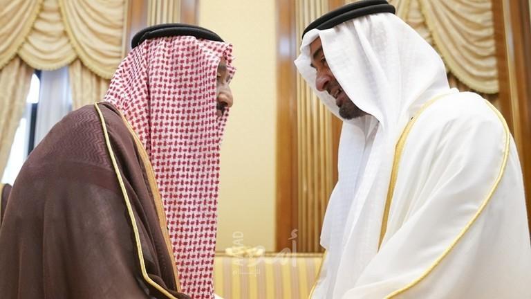 قرقاش: "تحالف الخير" السعودي الإماراتي حقيقة ثابتة لعقود قادمة