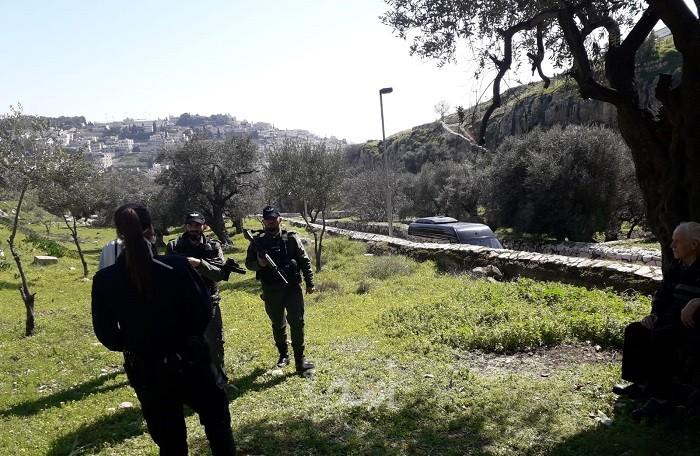 جنين: مستوطنون يعتدون على المواطنين في سيلة الظهر