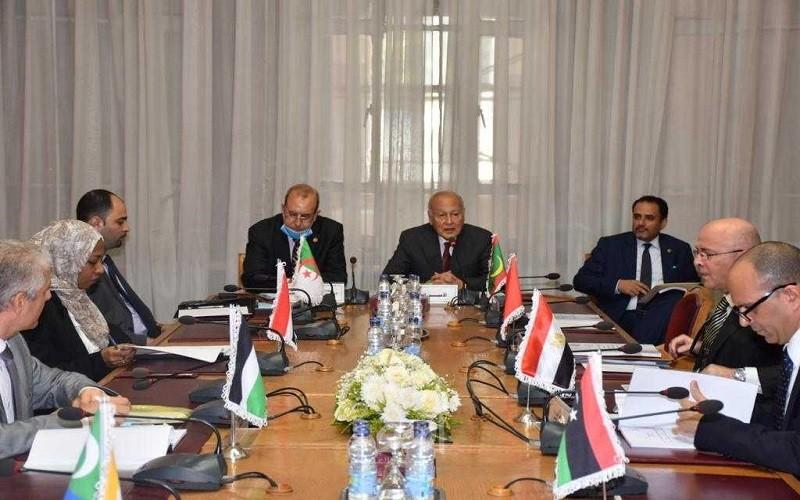 أبو الغيط يؤكد أهمية تعزيز التعاون العربي الأفريقي وعدم ترك الساحة لأطراف اخرى