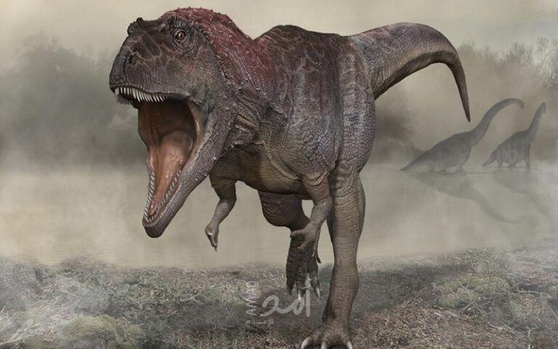 الأرجنتين.. اكتشاف نوع جديد من الديناصورات