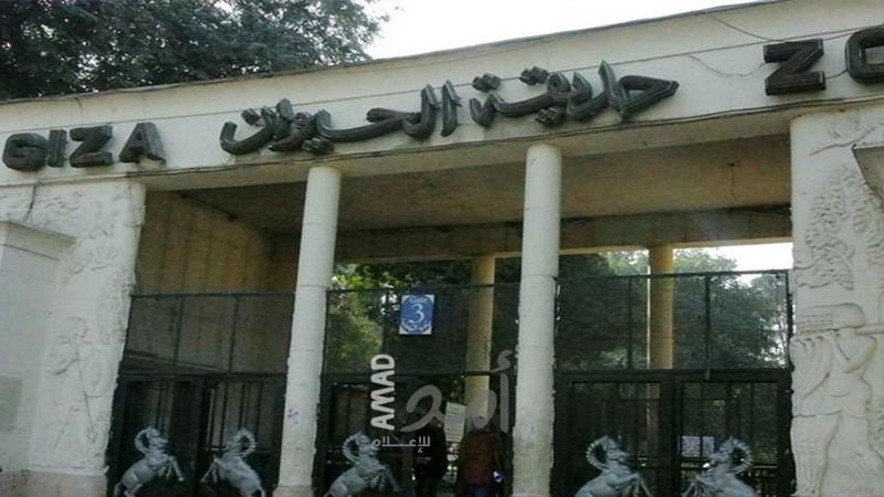 بعد خروجها من التصنيف العالمي..مصر: لا صحة لنقل ملكية حديقتي الحيوان والأورمان