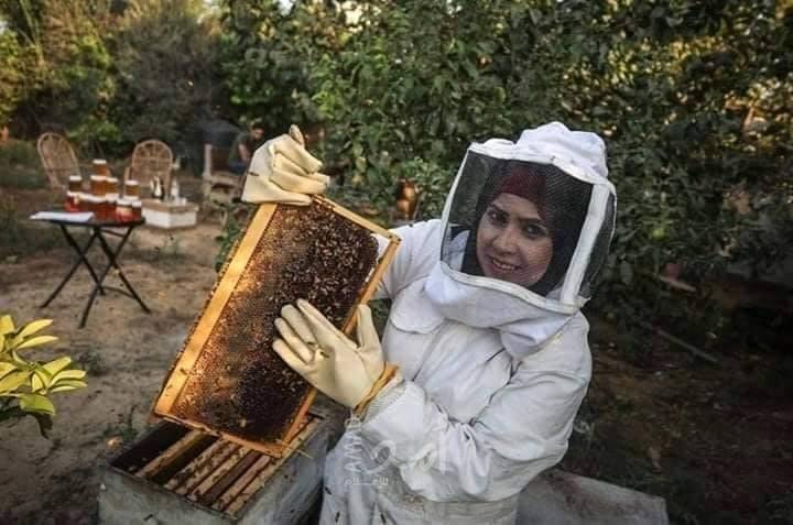 "شابة فلسطينية" تتحدى عنجهية قوات الاحتلال وتنفذ "مشروع النحل" قرب السياج