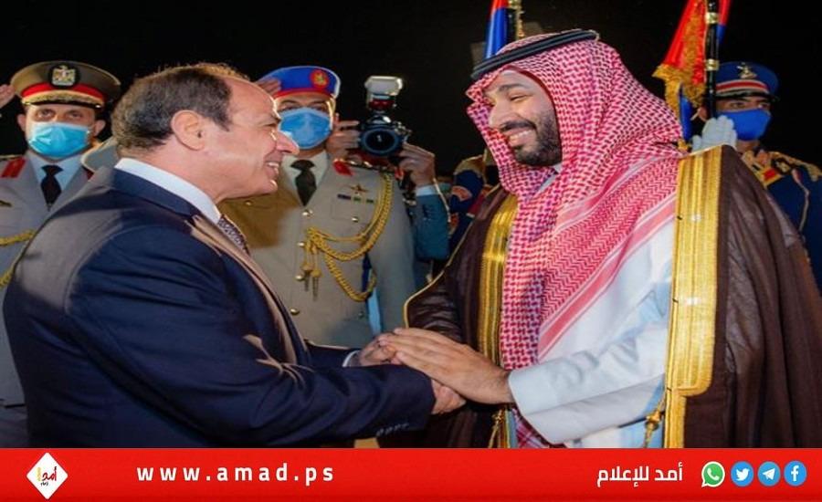 مصر والسعودية تؤكدان ضرورة تكثيف الجهود للتوصل إلى تسوية شاملة للنزاع الفلسطيني الإسرائيلي