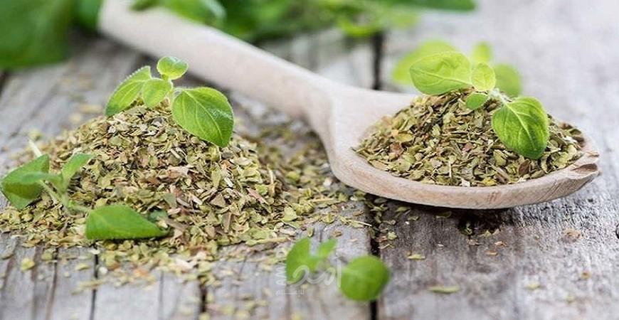 فوائد البردقوش في علاج الروماتزم