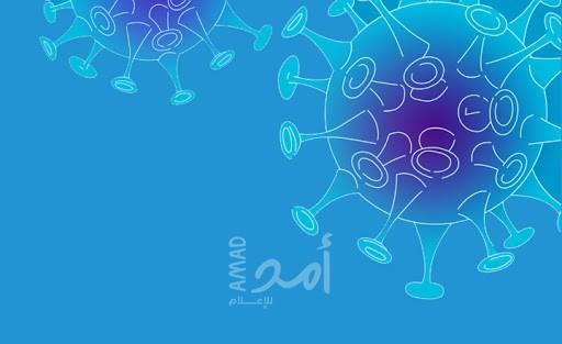 الخارجية: 37 وفاة و760 إصابة بكورونا بين الفلسطينيين حول العالم