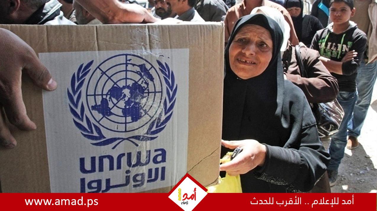 مقررة أممية: التوقف عن تمويل الأونروا يمثل "عقوبة جماعية" للفلسطينيين