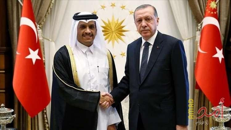 بعيدا عن وسائل الإعلام.. أردوغان يستقبل وزير خارجية قطر في أنقرة