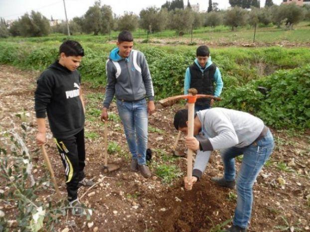 جنين: زراعة أشجار زيتون في "كفيرت" إحياءاً ليوم الأرض