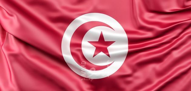 أحزاب تونسية تحذر من "توريط" تونس في الصراع الليبي