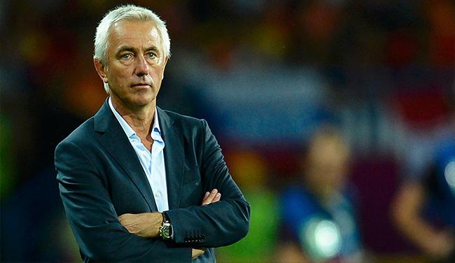 رسميًا.."فان مارفيك" مديرًا فنيًا لمنتخب الإمارات